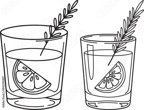 Two refreshing cocktails with citrus and herbs silhouette
