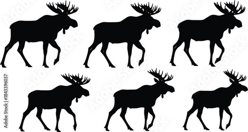 Diverse Flower Silhouettes Vector Collection Set, Botanical Icons of Different Garden Plants, Rose, Daisy, Poppy and Wildflower Graphics for Decoration, Nature and Floral Design Elements.