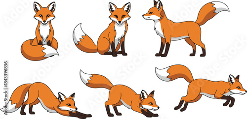 A Cute and Detailed Vector Collection of Red Foxes in Various Poses: Sitting, Standing, Running, and Stretching, Perfect for Wildlife, Forest, and Nature-Themed Designs.