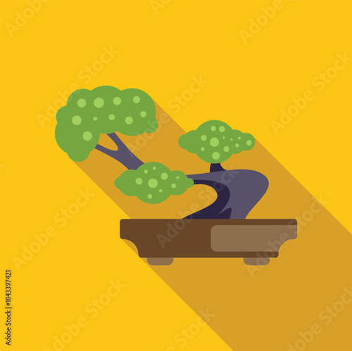Small bonsai tree growing in a pot, representing japanese culture and miniature gardening art