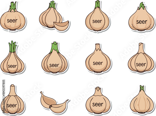 Variety of Seer Garlic Illustration - Food Ingredient Icons