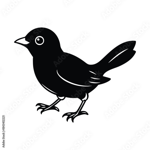 eastern bluebird silhouette 