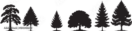 Group of Black and White Silhouettes of Various Pine and Deciduous Trees nature forest