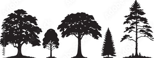 Silhouette Collection of Diverse Tree Species Including Deciduous and Coniferous Varieties trees nature