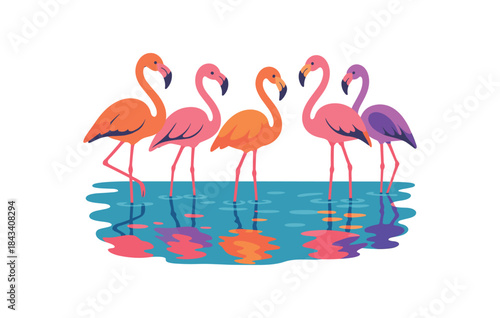 Flat vector illustration of colorful flamingos standing shallow water with vivid reflections rounded forms clean outline