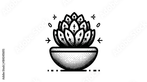 Black and white hand drawn succulent plant in a ceramic pot. Simple botanical illustration with retro engraving style and sparkles.