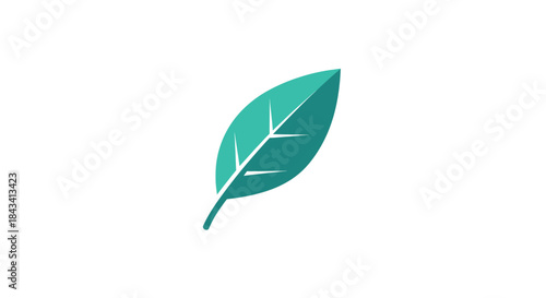 Single teal leaf with veins, on white background