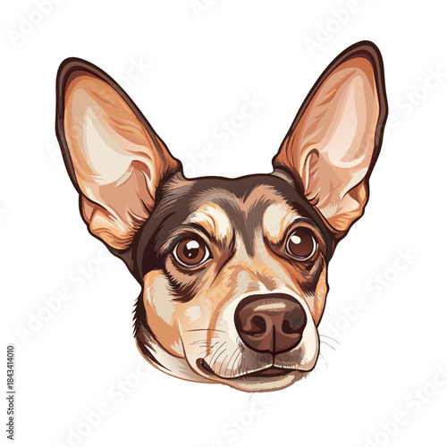 ritratto di un tenero cane 05