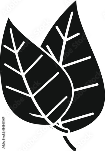 Two overlapping dark leaves with visible veins on a white background, symbolizing nature and organic products