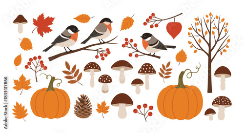 A charming collection of autumn vector elements featuring bullfinches, pumpkins, colorful leaves, and mushrooms on a white background.