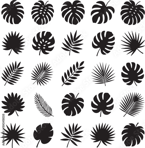  Monstera & Palm Leaf Icons