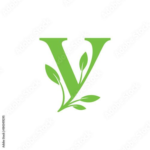 green plant in a vase