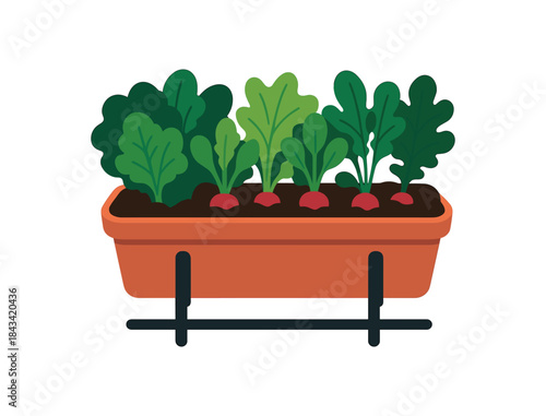 Flat vector illustration of vibrant balcony raised bed with mixed leafy greens and radish tops rounded shapes clean outline clean white background