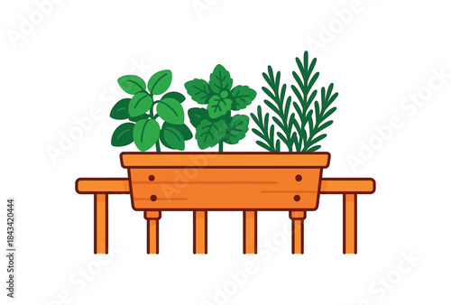 Flat vector illustration of bright wooden planter box on balcony railing filled with basil mint and rosemary vivid leaves rounded shapes clean outline clean white background