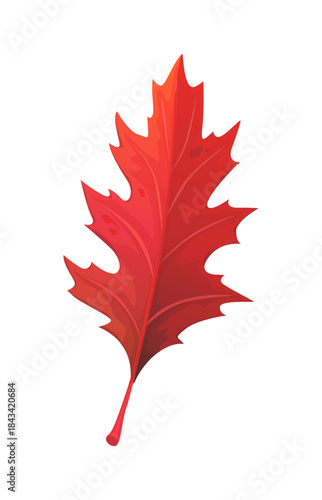 Cartoon oak leaf in autumn season. Red tree oak acorn leaves on fall forest. Seasonal fallen dry coral foliage for Thanksgiving day