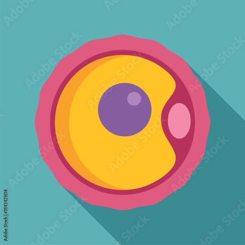 Ovum cell flat design illustration displaying the nucleus and polar body