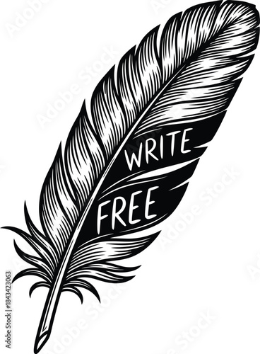 Single bird feather illustration for writing logo design, soft nature quill badge, literary pen emblem and isolated on transparent vintage graphic sketch