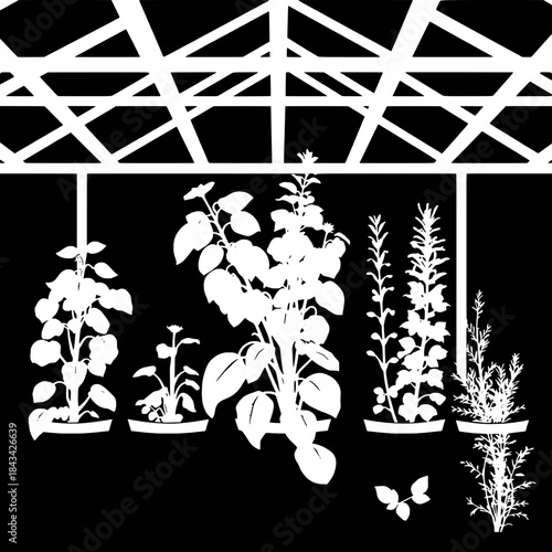 Assorted Herbs in Urban Greenhouse Silhouette