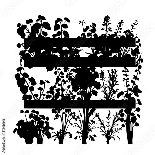 Assorted Herbs Silhouette in Vertical Farm