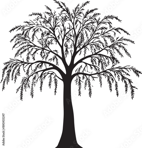 vector tree silhouette ,tree, nature, silhouette, vector, leaf, branch, illustration, design, spring, art, plant, environment, autumn, trunk, forest, decoration, summer, wood, icon, symbol, leaves, se