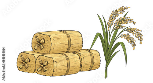 A hand-drawn vintage style illustration of stacked rice straw bales next to a mature rice plant with full grains of rice.