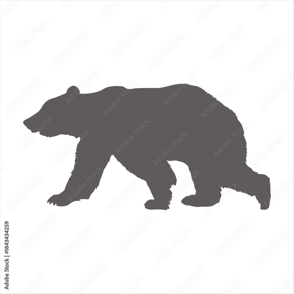 Fototapeta premium Striking Dark Gray Bear Silhouette Illustration for Wildlife and Nature-Inspired Designs, Depicting a Walking Mammal in a Minimalist Graphic Style