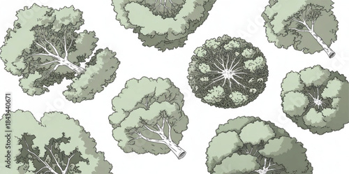 Top-down view of trees in doodle hand-drawn vector style,