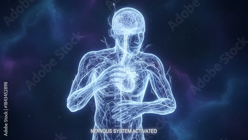 Digital Illustration of Human Body with Focus on Heart.