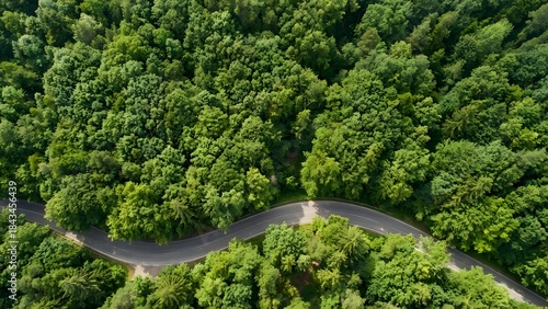 Aerial View of Winding Forest Road Surrounded by Dense Green Trees.