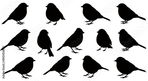 Collection of Black Bird Silhouettes: Diverse Poses of Small Passerine Birds, Perfect for Wildlife Graphics and Nature Designs