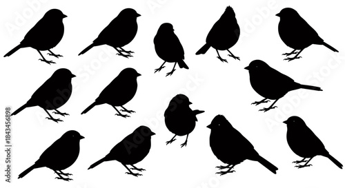Collection of Black Bird Silhouettes: Diverse Poses of Small Passerine Birds, Perfect for Wildlife Graphics and Nature Designs
