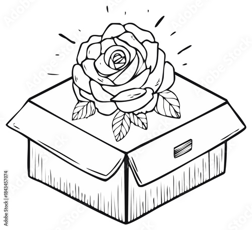 Hand drawn rose flower on an open cardboard gift box line art illustration