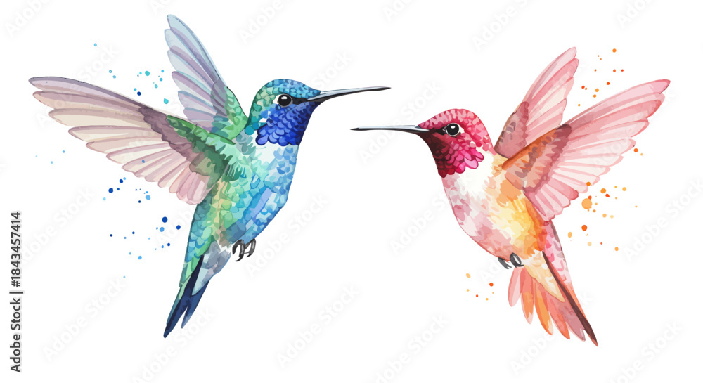 Obraz premium Watercolor Hummingbirds in Flight: A Vibrant Pair of Blue and Pink Avian Art with Ethereal Paint Splashes