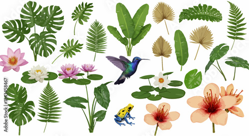A vibrant collection of tropical plants, flowers, and animals including a hummingbird and a frog, set against a white background.