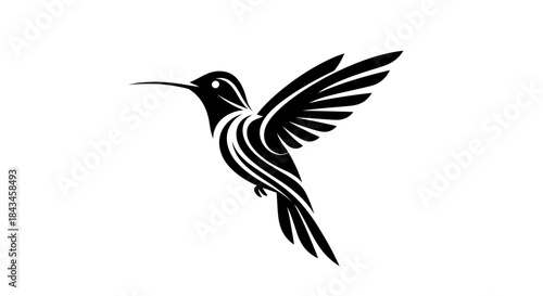 A stylized black silhouette of a hummingbird in flight with decorative lines.