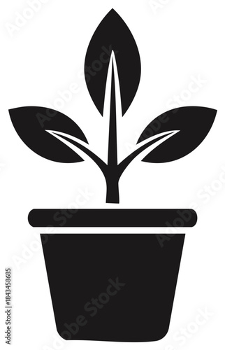 Minimalist plant in a pot vector graphic new life and botanical growth symbol