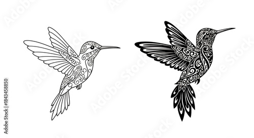 Two intricate black and white hummingbird illustrations with detailed patterns, one as an outline and the other filled in, showcasing decorative art.
