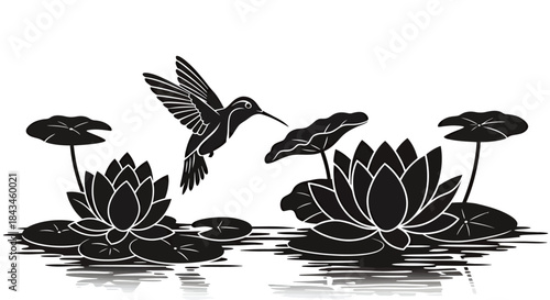 Black silhouette of a hummingbird flying over a pond with lotus flowers and lily pads, reflecting on the water's surface.
