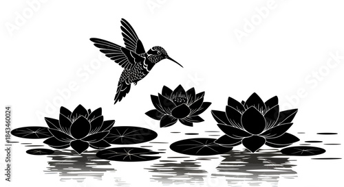 Black silhouette of a hummingbird flying above lotus flowers on water with reflections.
