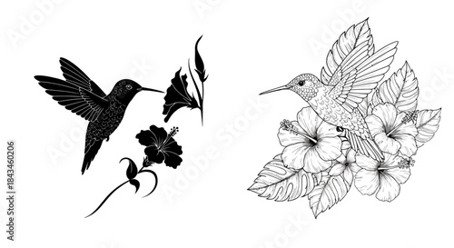 Detailed black silhouette and line art illustrations of hummingbirds with tropical flowers.