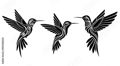 Three stylized black and white hummingbirds in flight, featuring intricate tribal patterns on their bodies and wings, isolated on a white background.