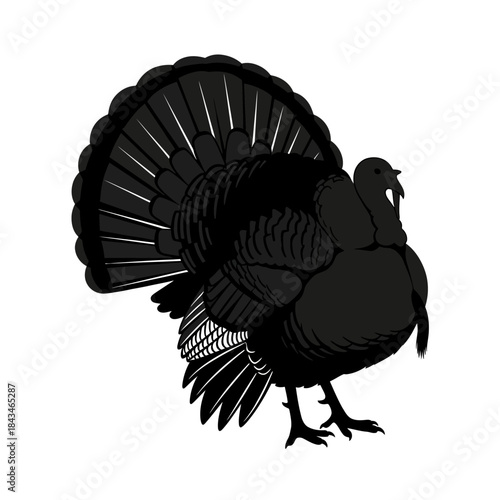 A black silhouette illustration of a turkey with its tail feathers fanned out, standing on a white background.