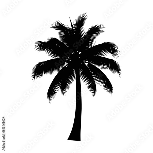 Black silhouette of a tropical palm tree with fronds on a white background, representing a summer or vacation theme.