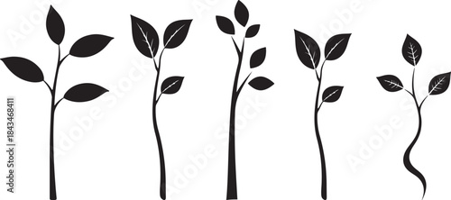 Young sapling silhouette, plant, leaf, tree, nature, vector, spring, illustration, growth, sprout, plants, ecology, summer, bud, new, branch, stem, design, seedling, environment, flower, leaves, eco, 