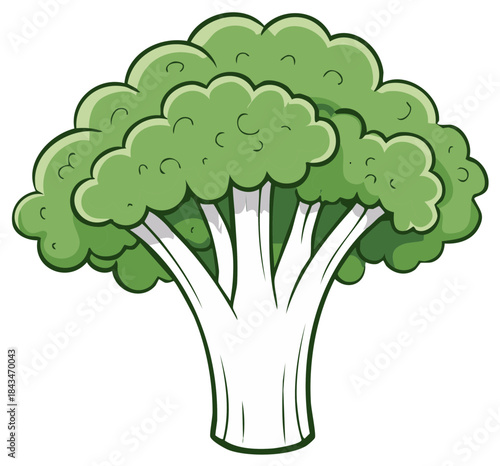 Healthy fresh green broccoli vegetable illustration perfect for nutrition and diet themes