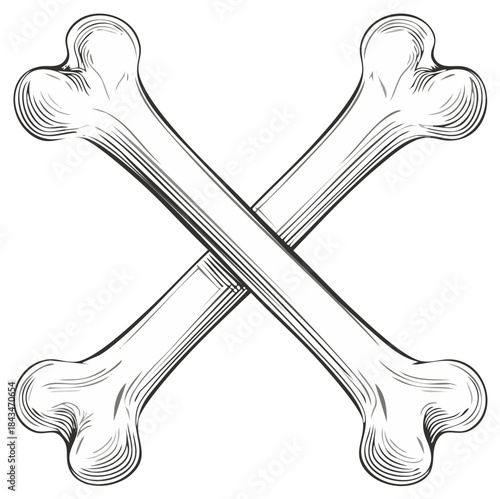 Vintage crossbones line art illustration a universal symbol of danger and piracy