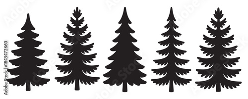Silhouettes of evergreen trees in a forest setting