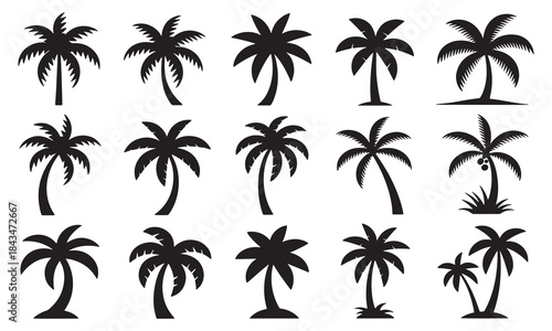 Black palm trees set isolated on white background. Palm silhouettes. Design of palm trees for posters, banners and promotional items. Vector illustration