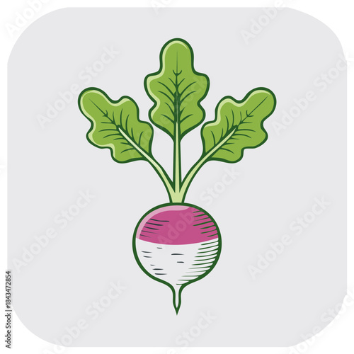 Cartoon radish illustration with green leaves and a stylized design