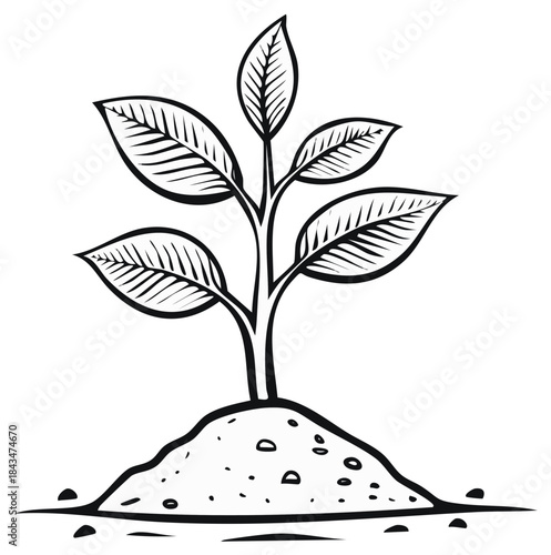 Illustration of a growing plant seedling with leaves sprouting from the ground